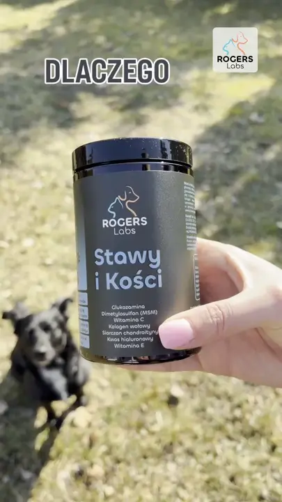 Historia Eski po operacji stawu kolanowego i SUPLO smaczki Stawy i Kości