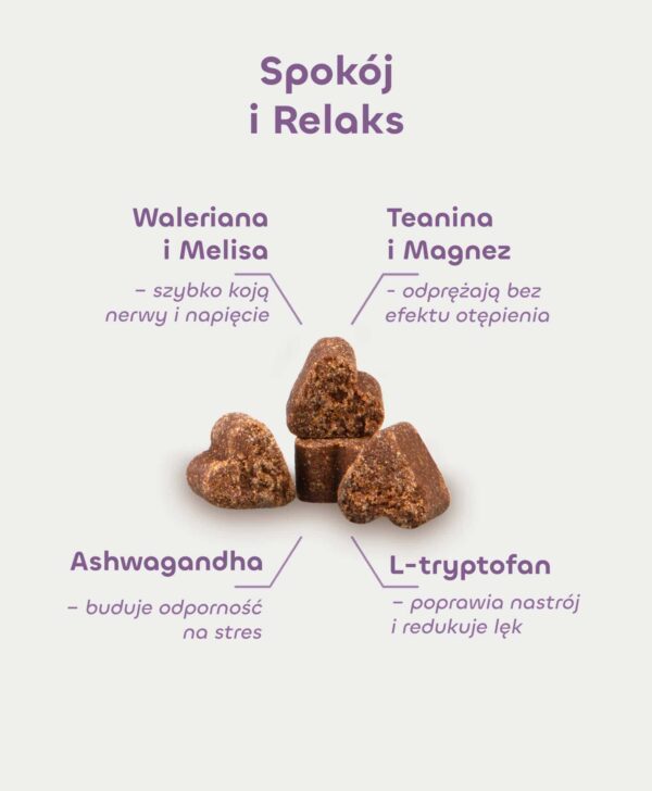 Skład Spokój i Relaks: waleriana, melisa, teanina, magnez, ashwagandha, L-tryptofan