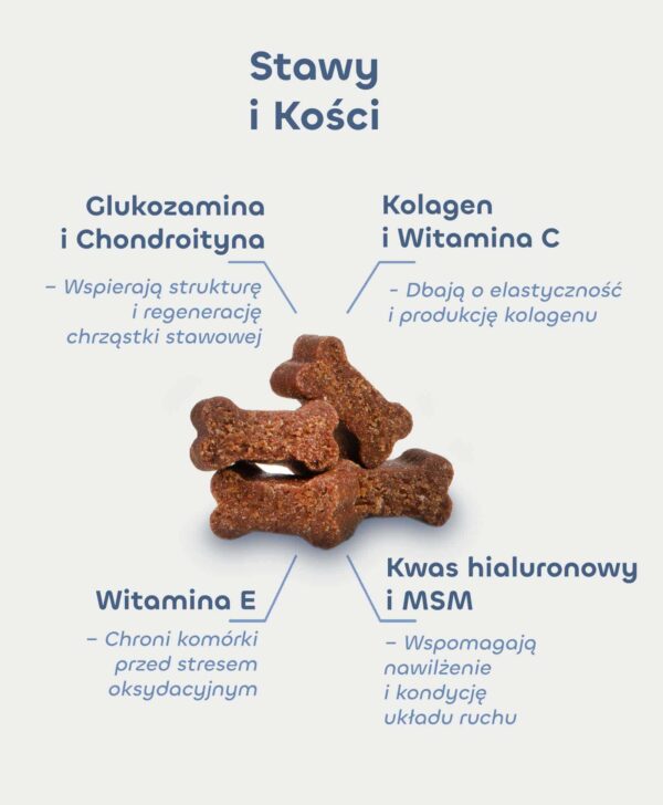 Skład Stawy i Kości: glukozamina, chondroityna, kolagen, witamina C, witamina E, kwas hialuronowy, MSM