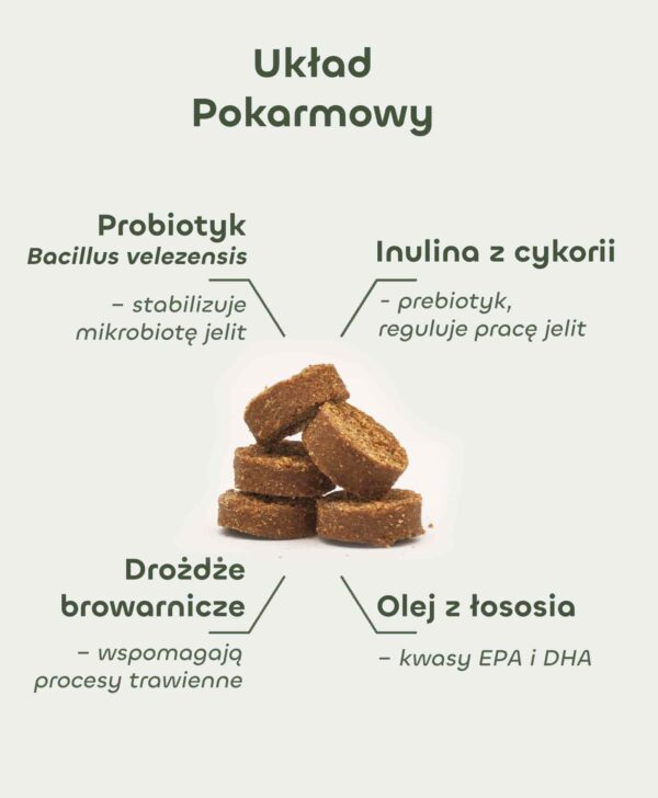 Skład Układ Pokarmowy: probiotyk Bacillus velezensis, inulina z cykorii, drożdże browarnicze, olej z łososia