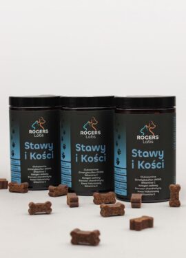 Suplement na stawy dla dużego psa – zestaw 3 opakowań SUPLO Stawy i Kości
