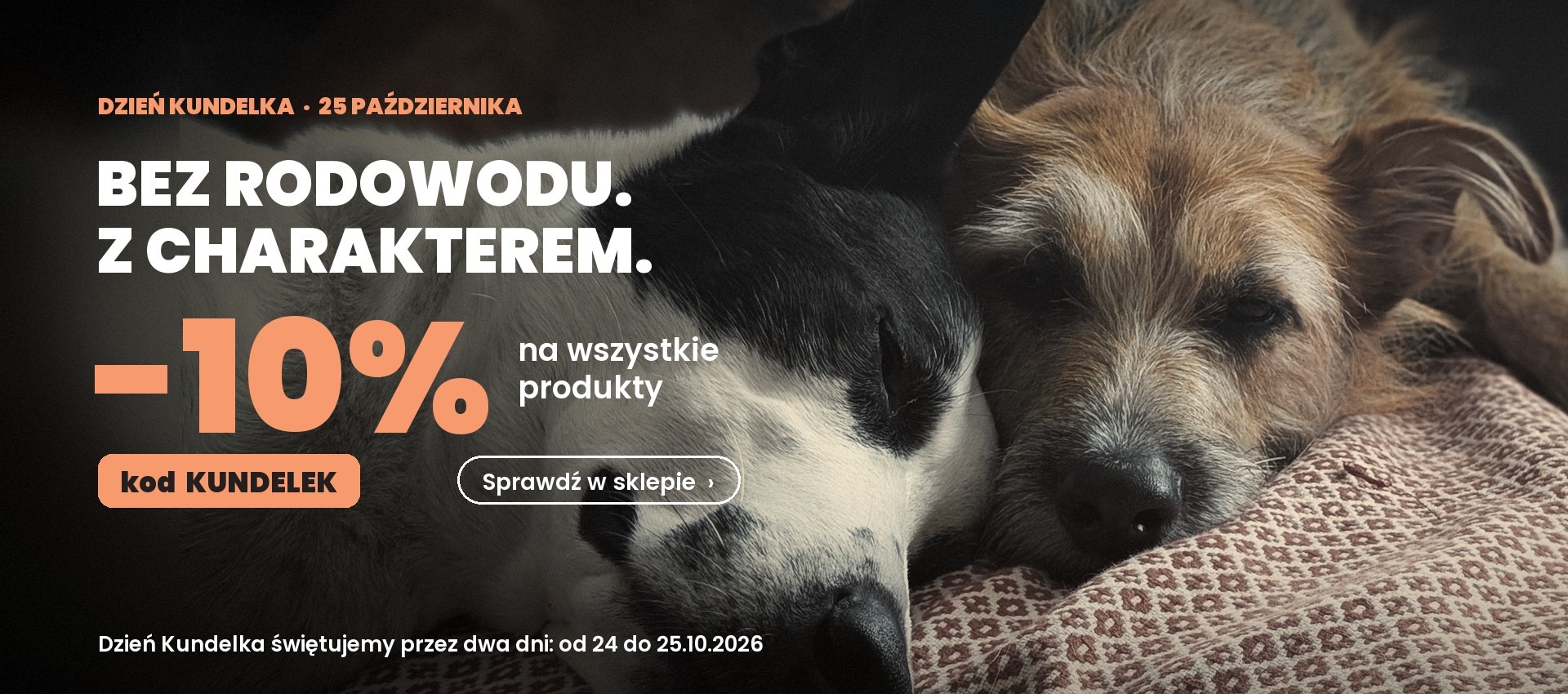 Dzień Kundelka 24-25 października - 10% rabatu z kodem KUNDELEK w sklepie Rogers Labs